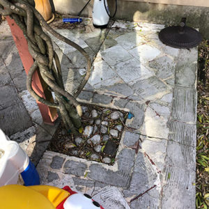 A close photo of concrete refinishing outside a home in Austin, TX.